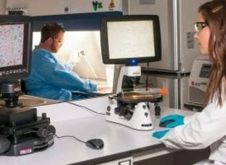 أمل لمرضى السرطان.. ابتكار بكتيريا ذكية تلتهم الورم