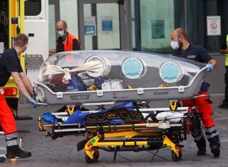 أوروبا تؤكد وروسيا تسخر.. تعرف على ضفادع السهم السامة قاتلة نافالني