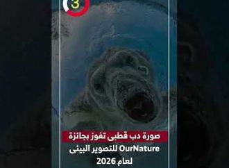 صورة دب قطبى تفوز بجائزة OurNature للتصوير البيئى لعام 2026