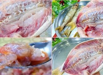 مركز السموم بالإسكندرية يحذر من تسمم الفسيخ الوشيقي خلال شم النسيم