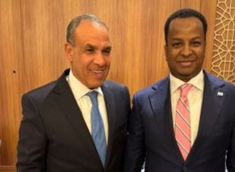 وزير الخارجية يؤكد دعم مصر لوحدة وسيادة الأراضى الصومالية