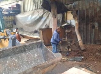 إزالة 7 أكشاك مخالفة وغلق 15 محلًا بدون ترخيص في حملة بوسط الإسكندرية