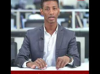 أحذر "عضة الكلب" قد تكون مميتة.. دكتور بالبحوث الزراعية يكشف: "فرص النجاة من السعار شبة معدومة"