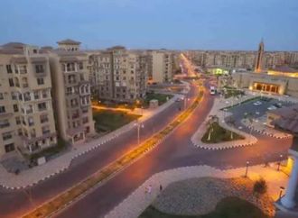 منع إطعام الكلاب والقطط داخل مدينتي.. وعقوبات للمخالفين