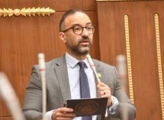 لحين صدور قانون الأسرة.. "الحمامصى" يطالب بزيادة الرؤية إلى 6 ساعات