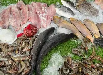 أسعار الأسماك والمأكولات البحرية اليوم في سوق العبور..84 جنيها لكيلو البلطي