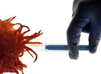 لقاح مخصص لكل مريض.. أمل جديد لمواجهة سرطان البنكرياس