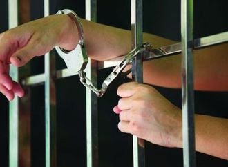 مستأنف كفر الشيخ تؤيد إعدام المتهم بإنهاء حياة حماته بالبرلس وسرقة قرطها الذهبي