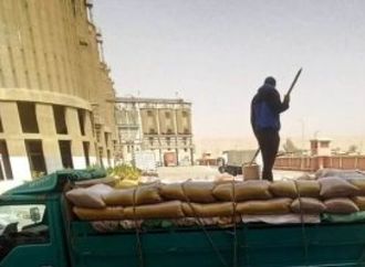 صوامع سوهاج تستقبل 187.7 ألف طن قمح وصرف أكثر من 3.12 مليار جنيه للمزارعين