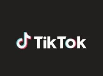 البرازيل تضغط على تيك توك لإزالة محتوى العنف ضد النساء