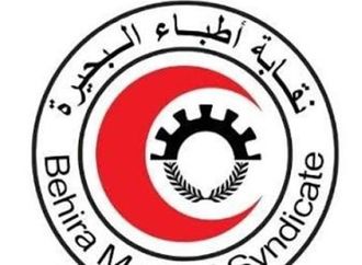 بعد واقعة مستشفى حوش عيسى.. نقابة أطباء البحيرة تطالب بتأمين عاجل للمستشفيات