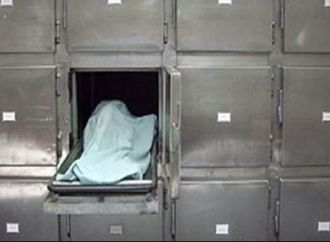 سقوط صديقتين في قبضة الأمن بتهمة قتل سيدة مسنة داخل شقتها بسنورس