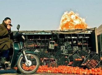 السينما.. جسر جديد بين مصر والصين يوثق التنمية ويحكي قصص الإنسان