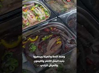 منذ الفراعنة.. الفسيخ والرنجة يتصدران مائدة شم النسيم كل عام.. ما السر؟