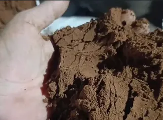 ضبط 630 كجم من بن مُصنّع من نوى البلح داخل سيارة بالفيوم (صور)