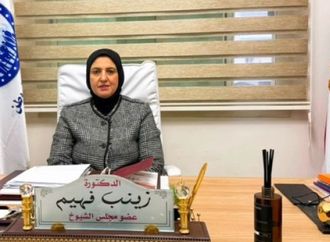 نائبة: نحتاج تحركاً عاجلا لحماية الأسرة المصرية ودعم السيدات في مواجهة الأزمات