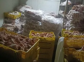 ضبط 70 طن لحوم وهياكل دواجن غير صالحة للاستهلاك في الجيزة