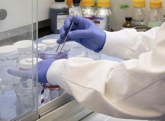 اليابان تعلن عن أول دواء فيروسي لعلاج سرطان المريء