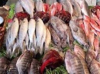 البلطي والفيليه والجمبري.. قائمة أسعار الأسماك بالأسواق اليوم