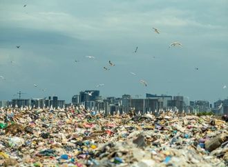 المواد البلاستيكية في الطعام قد تهدد الصحة على المدى الطويل