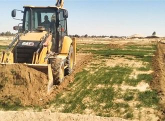 الوادي الجديد تسترد 28 فدانًا بالموجة 28 لإزالة التعديات.. صور