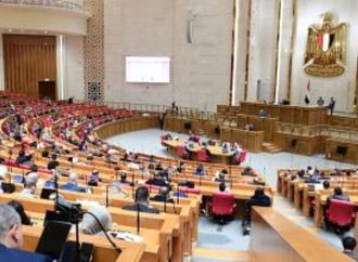 برلمانية: قرارات الرئيس السيسى بشأن المخزون الاستراتيجى تدعم استقرار الاقتصاد