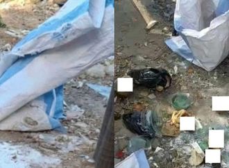 إخلاء سبيل المتهمين في واقعة أجنة المنيا بضمان محل الإقامة وعلى ذمة التحقيقات