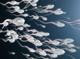 أمل لعلاج العقم الذكري البشري.. تقنية mRNA تستعيد خصوبة فئران عقيمة وراثيا