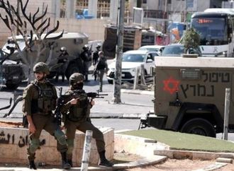 صحفية أمريكية: العالم بات يرى إسرائيل على حقيقتها ويجب عزلها دوليا