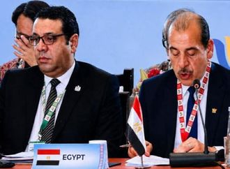 نائب وزير الصحة يستعرض تجربة مصر في تطوير المنظومة الصحية خلال اجتماع وزراء صحة دول بريكس بالهند
