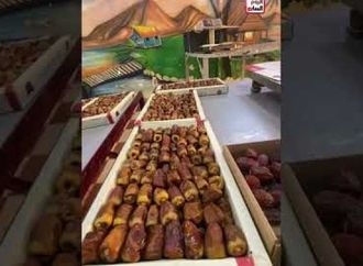 من قلب واحة الداخلة   شاهد كيف يتم تحضير أفخم تمور العالم لرمضان ضمن مزارات اعرف بلدك