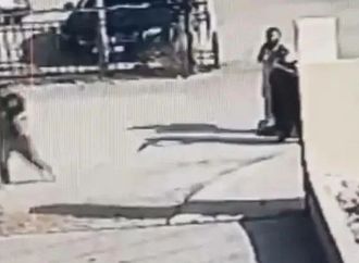 أمين عام الإفتاء الأردني: هجوم كنيسة الكرك استهدف وحدة الشعب
