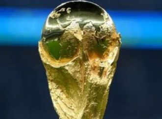 تقارير: فيفا يدرس تأجيل كأس العالم 2034 