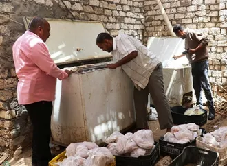 تحرير 14 محضر وتشميع مخزن مخالف خلال حملات على المطاعم والمحلات في أسوان