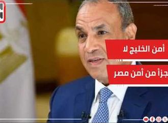 وزير الخارجية لا حلول عسكرية لقضايا المنطقة وأمن الخليج لا يتجزأ من أمن مصر