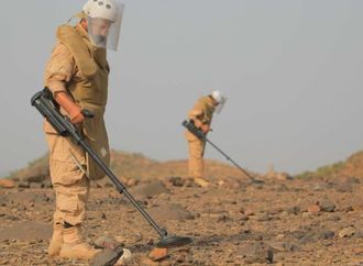 "مسام" ينزع 932 لغماً وذخيرة غير منفجرة وعبوة ناسفة في اليمن خلال أسبوع