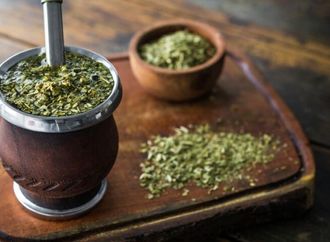 نجل ترامب يستعد لإطلاق شركة مشروبات "المتة" في مايو