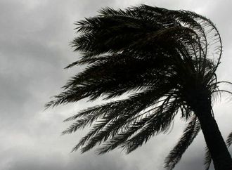 رياح عاتية وأمطار غزيرة تجتاح عاصمة نيوزيلندا وتشل الطيران