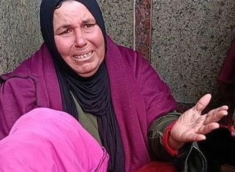 استجابة فورية لاستغاثة عبر السوشيال ميديا.. محافظ المنوفية يوفر سكنًا ودعمًا ماليًا لأم وبناتها بشبين الكوم