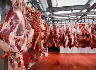 رئيس قطاع الثروة الحيوانية: حققنا زيادة 8% في إنتاج اللحوم والألبان هذا العام