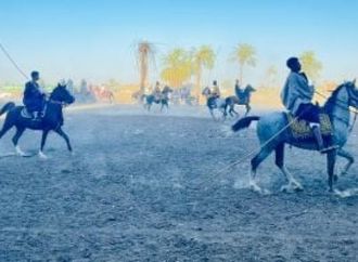 مهارة وسيطرة على الخيل.. عروض الخيالة تبهر جمهور مولد الشيخ عتمان بقنا.. فيديو
