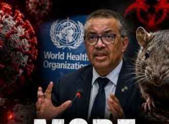باحثون: رصد معدلات مرتفعة لفيروس هانتا بقوراض أمريكا ما يزيد من خطر التفشى