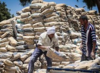 سعر الأسمنت اليوم الثلاثاء 24 - 2 - 2026  بكم الطن للمستهلك ؟